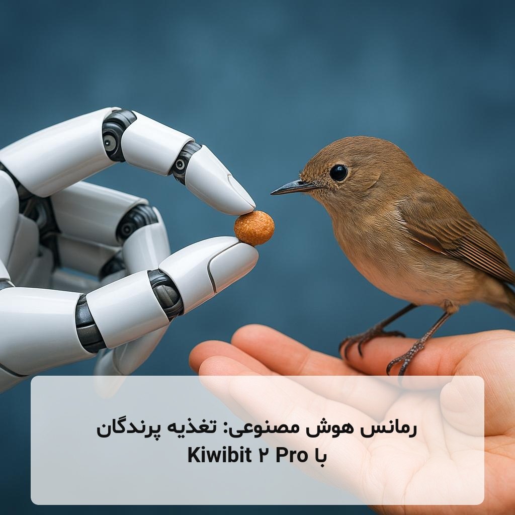 رمانس هوش مصنوعی: تغذیه پرندگان با Kiwibit 2 Pro